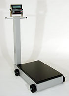 Portable Scales for rent